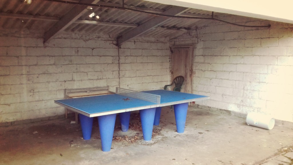 Table de ping-pong